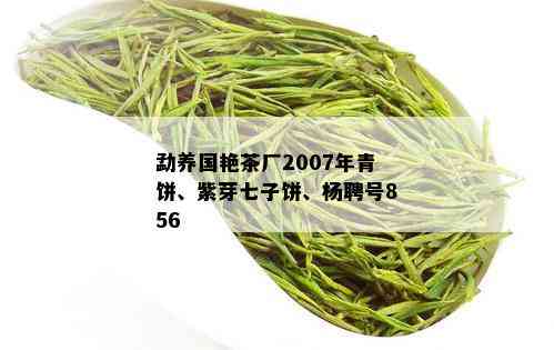 勐养国艳茶厂2007年青饼、紫芽七子饼、杨聘号856