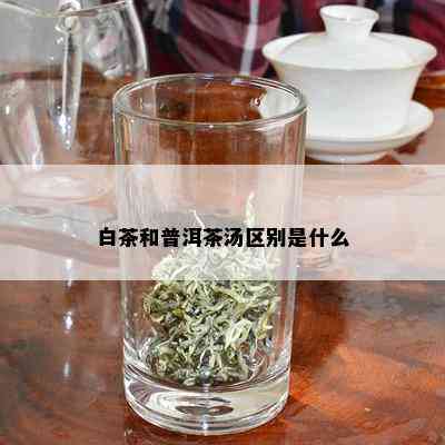 白茶和普洱茶汤区别是什么