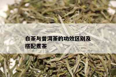 白茶与普洱茶的功效区别及搭配煮茶