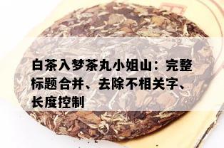 白茶入梦茶丸 *** 山：完整标题合并、去除不相关字、长度控制