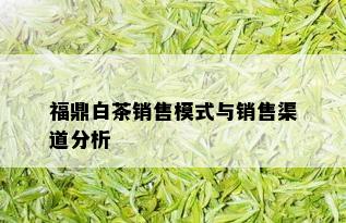 福鼎白茶销售模式与销售渠道分析