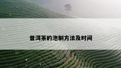 普洱茶的泡制方法及时间