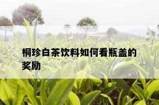 桐珍白茶饮料如何看瓶盖的奖励