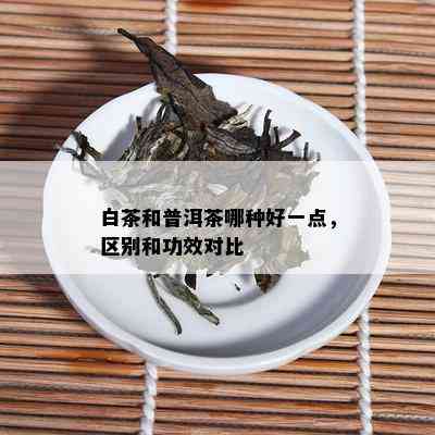 白茶和普洱茶哪种好一点，区别和功效对比