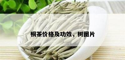 桐茶价格及功效，树图片