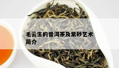 毛云生的普洱茶及紫砂艺术简介