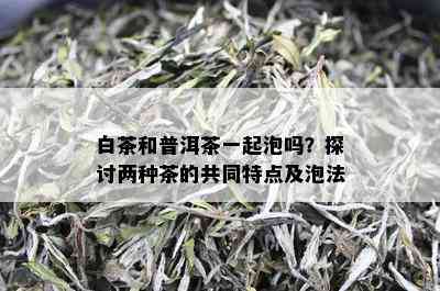 白茶和普洱茶一起泡吗？探讨两种茶的共同特点及泡法