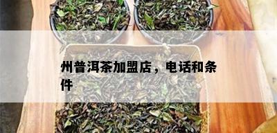 州普洱茶加盟店，电话和条件