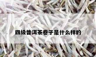 四级普洱茶卷子是什么样的