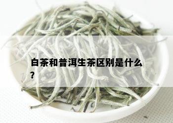 白茶和普洱生茶区别是什么？