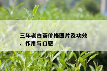 三年老白茶价格图片及功效、作用与口感