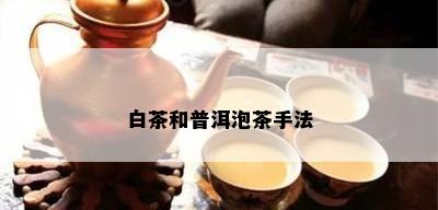 白茶和普洱泡茶手法