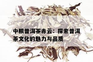 中粮普洱茶赤云：探索普洱茶文化的魅力与品质