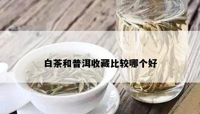 白茶和普洱收藏比较哪个好