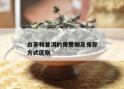 白茶和普洱的保质期及保存方式区别