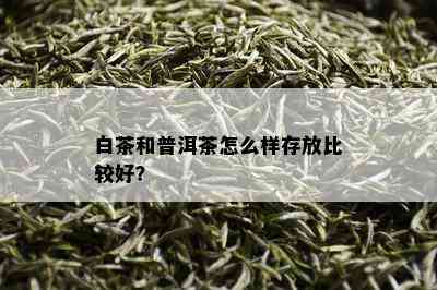 白茶和普洱茶怎么样存放比较好？