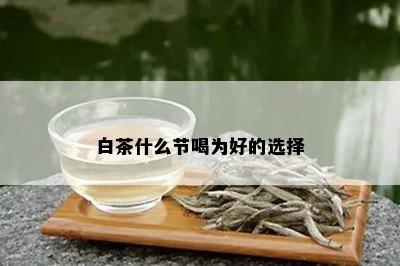 白茶什么节喝为好的选择