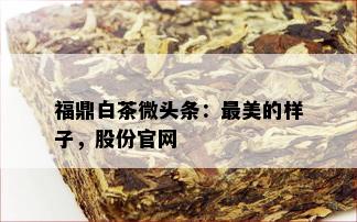 福鼎白茶微头条：最美的样子，股份官网