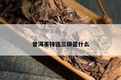 普洱茶特选三级是什么