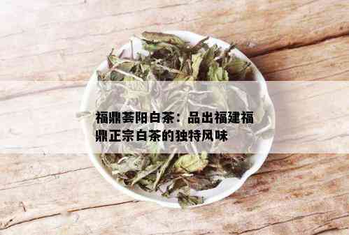 福鼎荟阳白茶：品出福建福鼎正宗白茶的独特风味