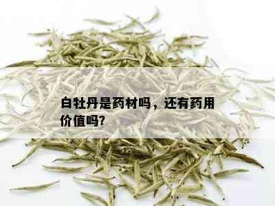 白牡丹是药材吗，还有药用价值吗？