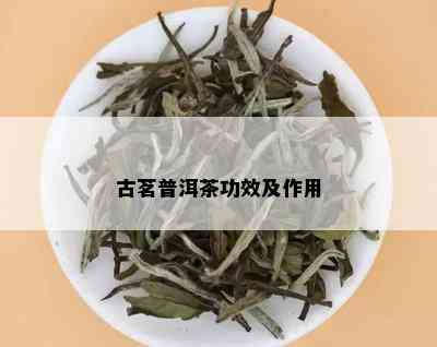 古茗普洱茶功效及作用