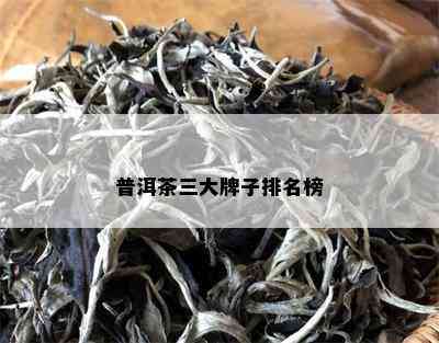 普洱茶三大牌子排名榜