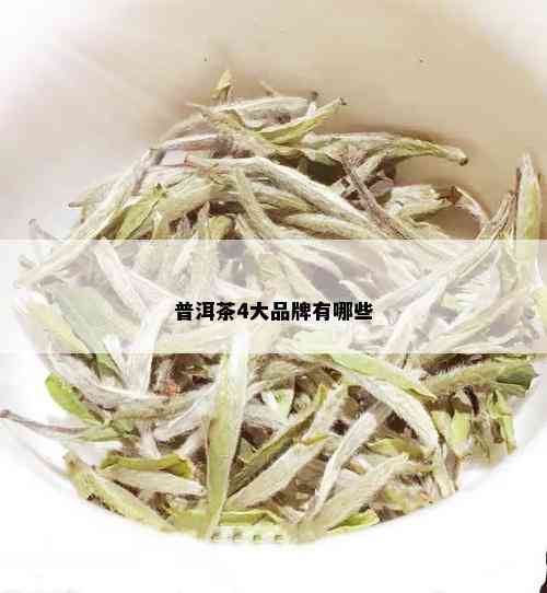 普洱茶4大品牌有哪些