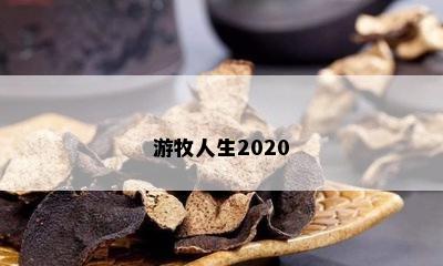 游牧人生2020