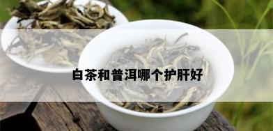 白茶和普洱哪个护肝好