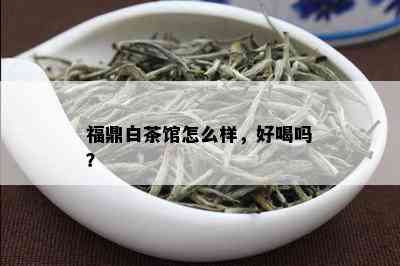 福鼎白茶馆怎么样，好喝吗？