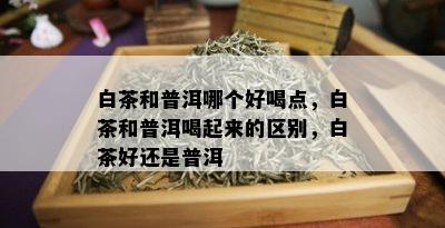 白茶和普洱哪个好喝点，白茶和普洱喝起来的区别，白茶好还是普洱