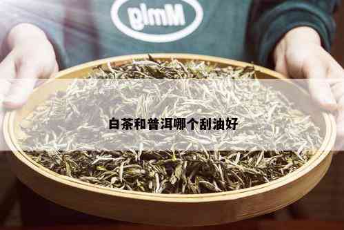 白茶和普洱哪个刮油好