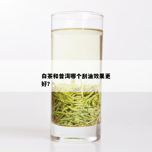 白茶和普洱哪个刮油效果更好？