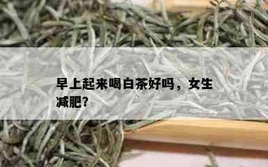 早上起来喝白茶好吗，女生减肥？