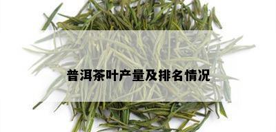 普洱茶叶产量及排名情况