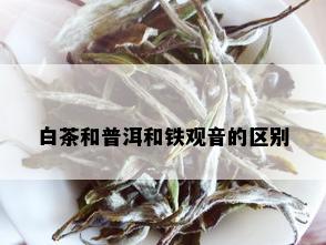 白茶和普洱和铁观音的区别