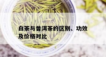 白茶与普洱茶的区别、功效及价格对比