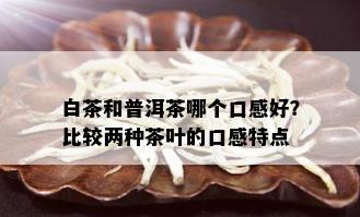 白茶和普洱茶哪个口感好？比较两种茶叶的口感特点