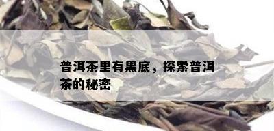 普洱茶里有黑底，探索普洱茶的秘密