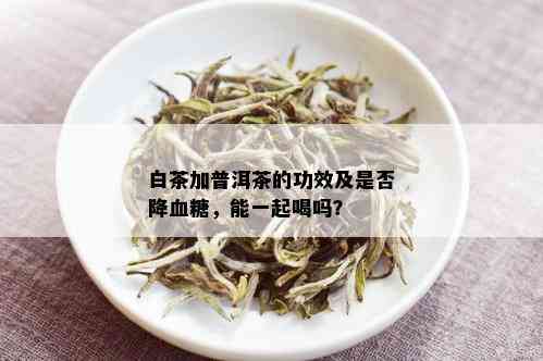 白茶加普洱茶的功效及是否降血糖，能一起喝吗？