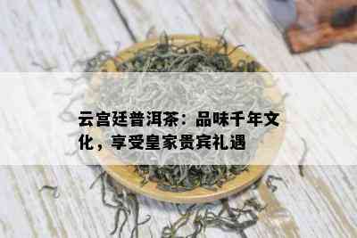 云宫廷普洱茶：品味千年文化，享受皇家贵宾礼遇