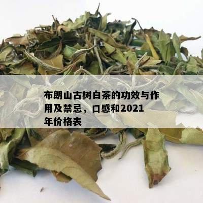 布朗山古树白茶的功效与作用及禁忌，口感和2021年价格表