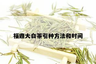 福鼎大白茶引种方法和时间