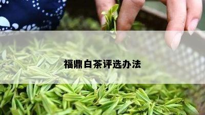 福鼎白茶评选办法