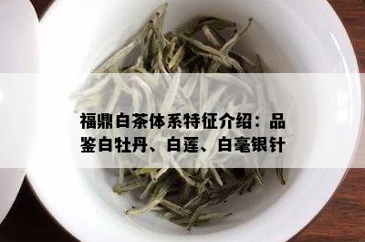 福鼎白茶体系特征介绍：品鉴白牡丹、白莲、白毫银针