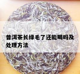 普洱茶长绿毛了还能喝吗及处理方法