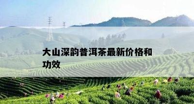 大山深韵普洱茶最新价格和功效