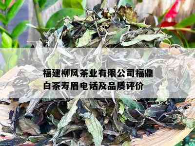 福建柳风茶业有限公司福鼎白茶寿眉电话及品质评价