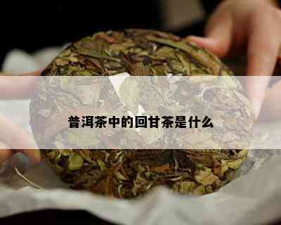 普洱茶中的回甘茶是什么